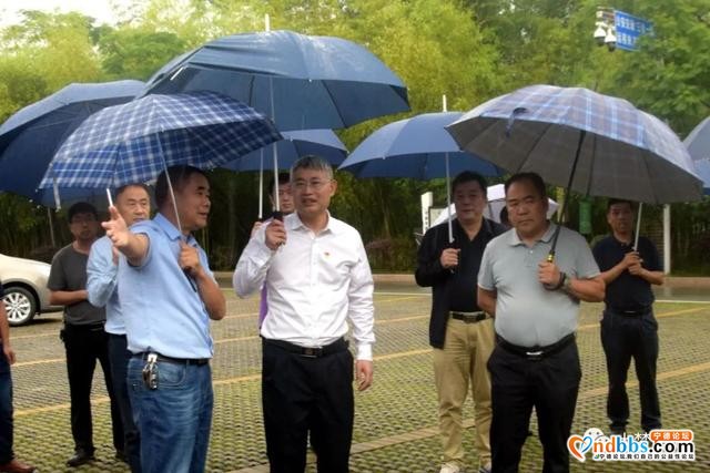 什么事让书记如此牵挂！今天冒雨进村现场办公来了………-1.jpg