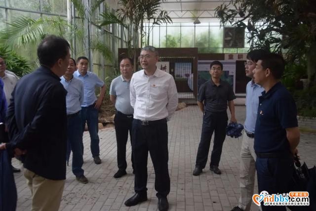 什么事让书记如此牵挂！今天冒雨进村现场办公来了………-6.jpg