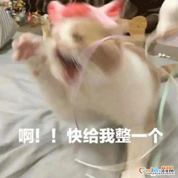 有没有小伙伴一起玩耍-2.jpg