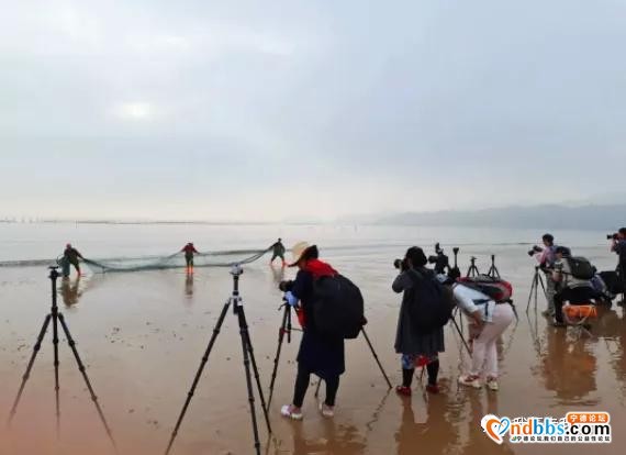 在霞浦，蹲一个日出-11.jpg