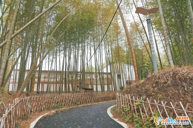 稀奇！“宁德巴马”成功出圈，凭借的竟是一口“长寿锅”-6.jpg