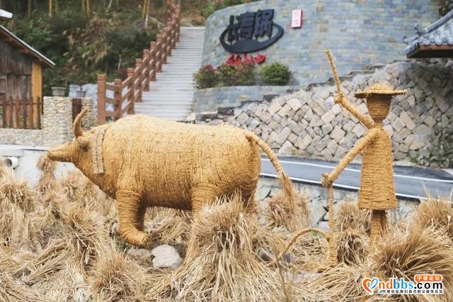 稀奇！“宁德巴马”成功出圈，凭借的竟是一口“长寿锅”-28.jpg