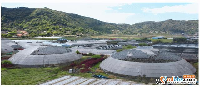喜讯！柏柱洋入选“全国百条红色茶乡旅游精品路线”名录-4.jpg