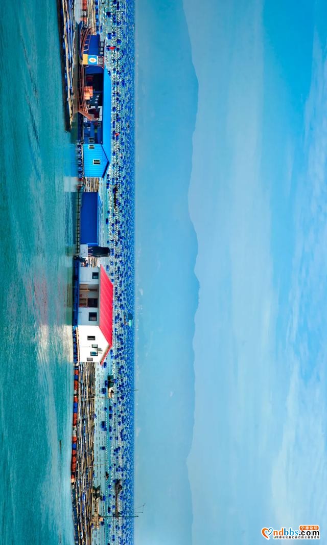 宁德：“海上田园”好去处-15.jpg
