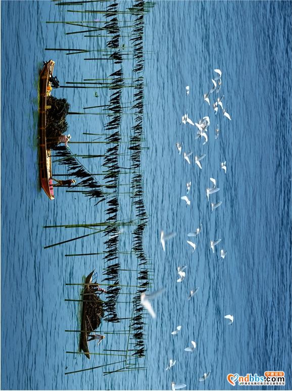 宁德：“海上田园”好去处-28.jpg