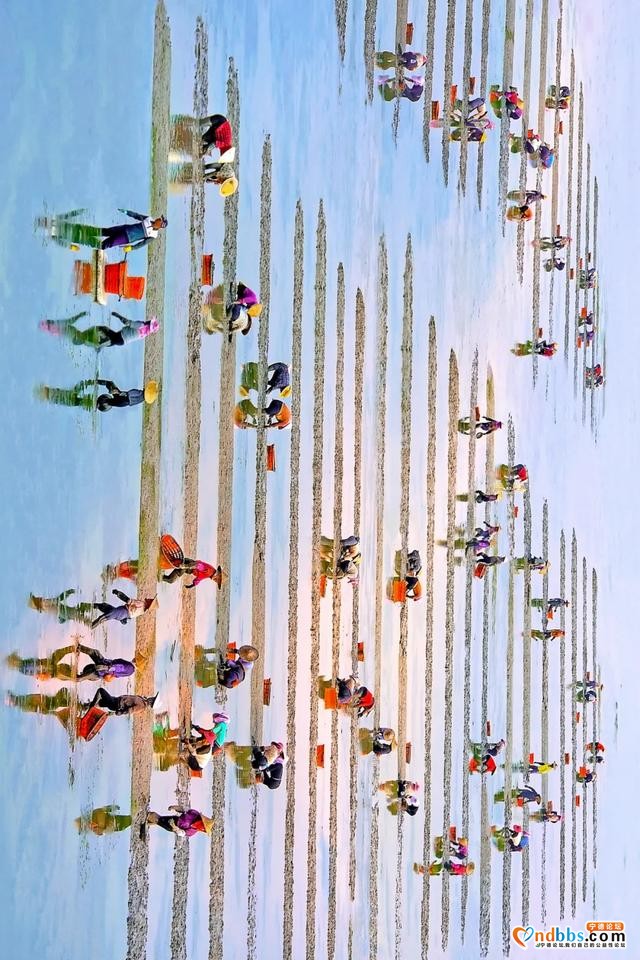宁德：“海上田园”好去处-27.jpg