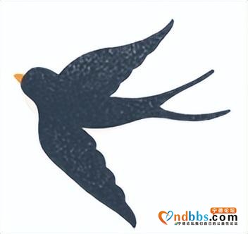 宁德 | 一叶春天，醉在宁德（上篇）-3.jpg