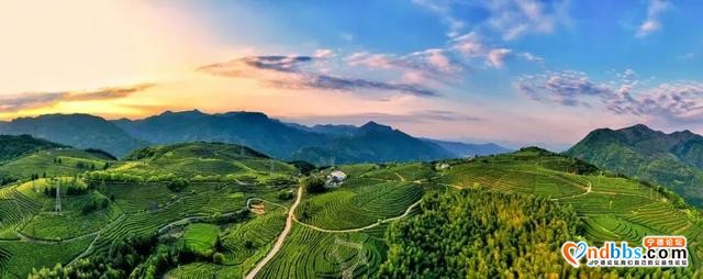 宁德 | 一叶春天，醉在宁德（上篇）-19.jpg