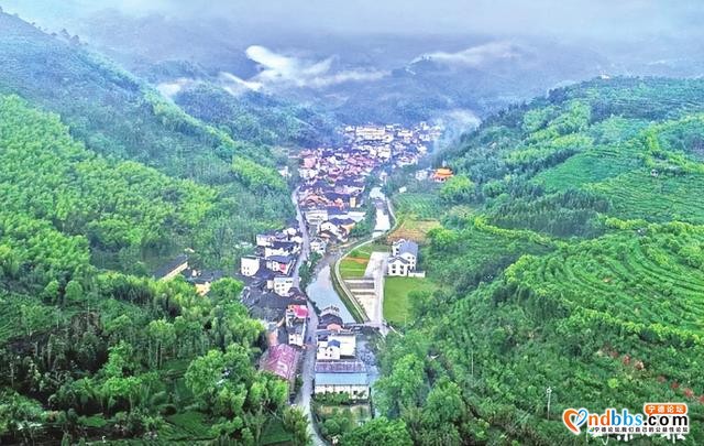 宁德 | 一叶春天，醉在宁德（上篇）-24.jpg