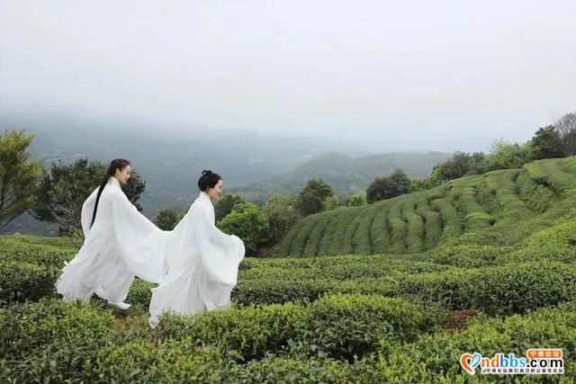 宁德 | 一叶春天，醉在宁德（上篇）-30.jpg