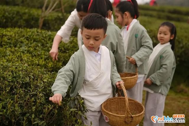 宁德 | 一叶春天，醉在宁德（上篇）-32.jpg