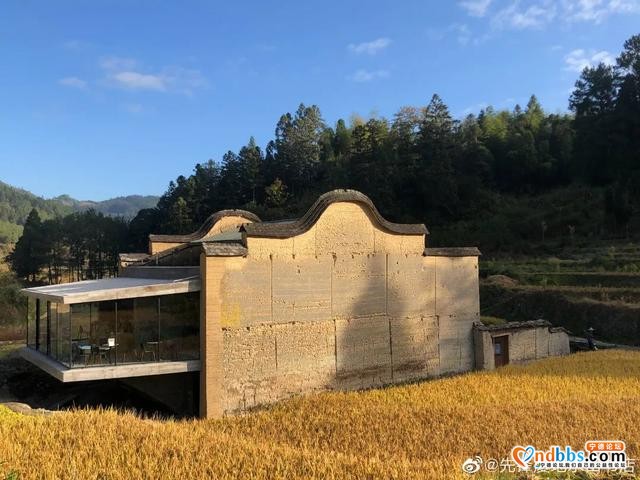 “云”游宁德 | 被疫情“偷走”的春天，用一页田野还你~-9.jpg