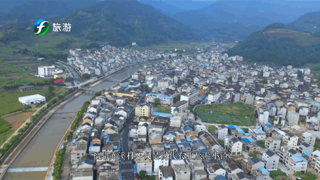 “村”游福建 | 缤纷初夏，在阡陌交错间追溯宁德古村人文历史，寻田园诗意-5.jpg