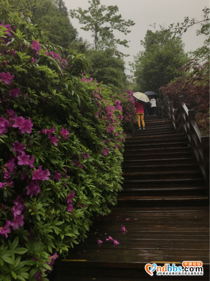 宁德：云里雾里游三景-7.jpg