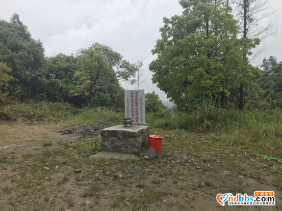 宁德：云里雾里游三景-14.jpg
