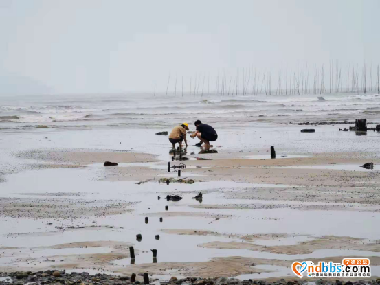 宁德：云里雾里游三景-20.jpg
