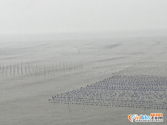 宁德：云里雾里游三景-29.jpg