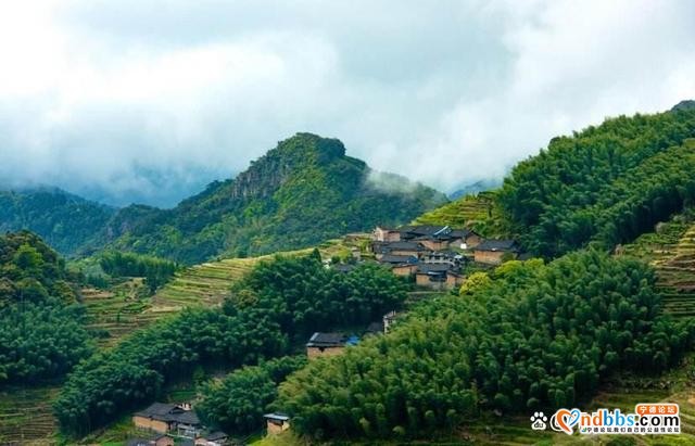 福建宁德——国家森林城市！经典必游的六个美景，你都去对了吗？-10.jpg