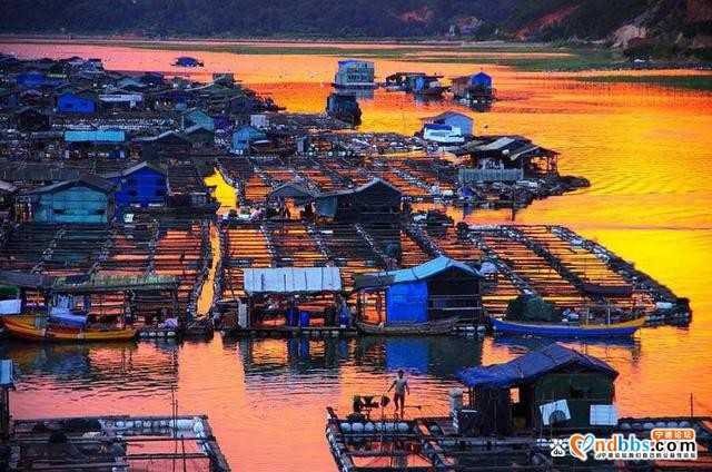 福建宁德——国家森林城市！经典必游的六个美景，你都去对了吗？-15.jpg