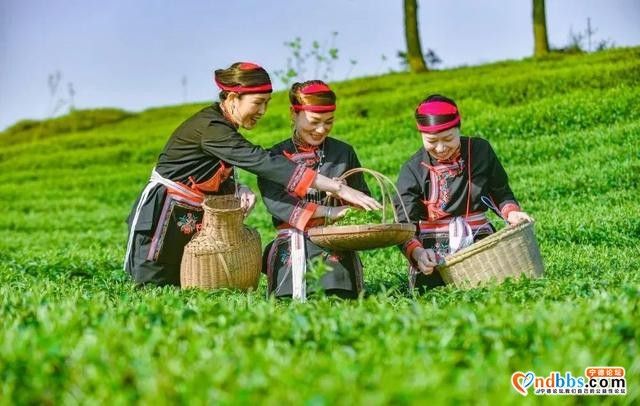 国庆假期如何玩转宁德？天气预报、文旅活动、旅游福利、景区活动…-4.jpg