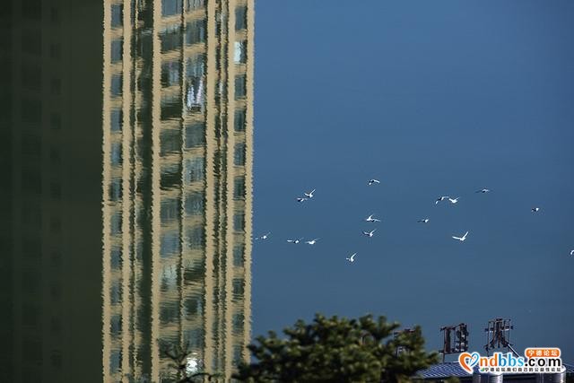 福建旅游-宁德市塔山公园、镜台山公园、霍童古镇-11.jpg