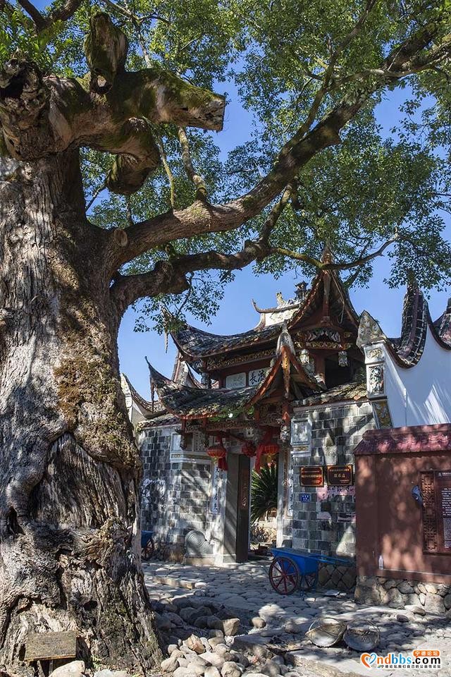 福建旅游-宁德市塔山公园、镜台山公园、霍童古镇-76.jpg