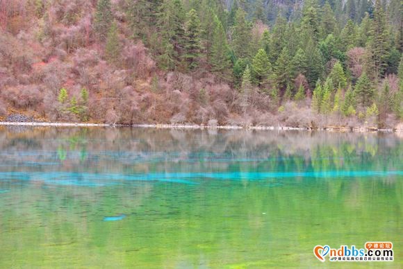 有路天堂通九寨，此中仙境任盘旋-8.jpg