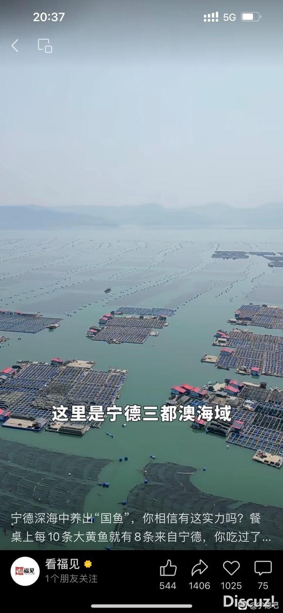 鱼排上招工养殖黄鱼-2.jpg