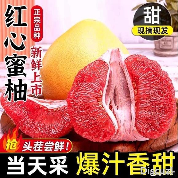 广东梅州蜜柚-3.jpg