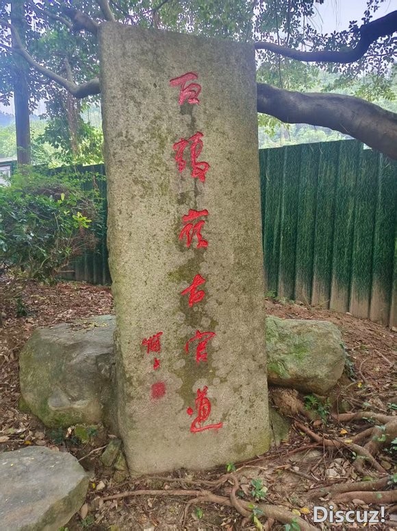 9小时反穿罗宁古道-2.jpg