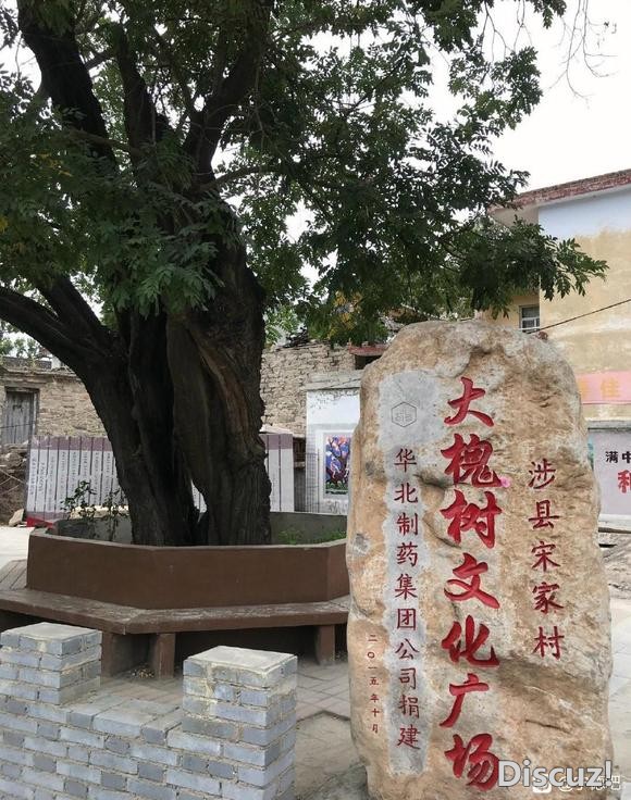 所有的人都害怕我大富大贵-1.jpg